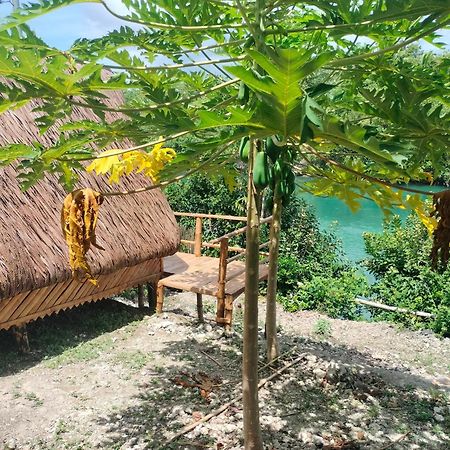 Riu Del Mar Hostel Dauis Екстериор снимка